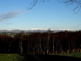 Landschaft
