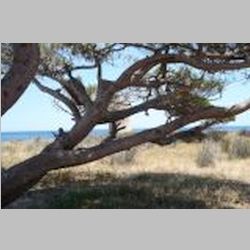 sardinien 064.JPG